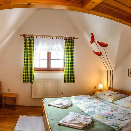 Drevenica Michael אכסניה