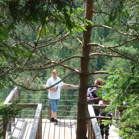 אכסניה Drevenica Michael *