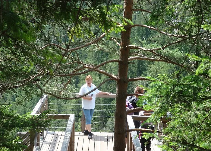 롯지 Drevenica Michael *