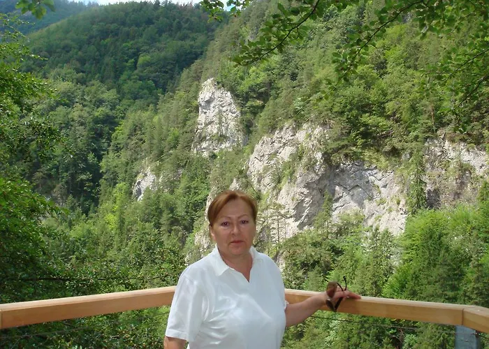 롯지 Drevenica Michael